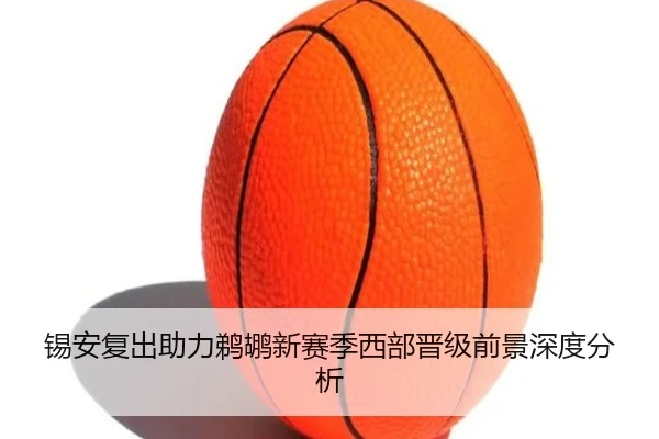 锡安复出助力鹈鹕新赛季西部晋级前景深度分析